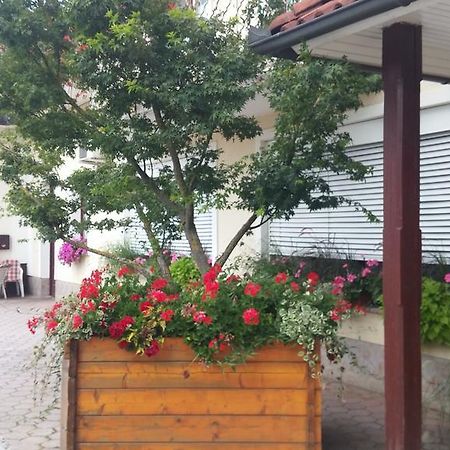 Darja Guesthouse Dob Dış mekan fotoğraf