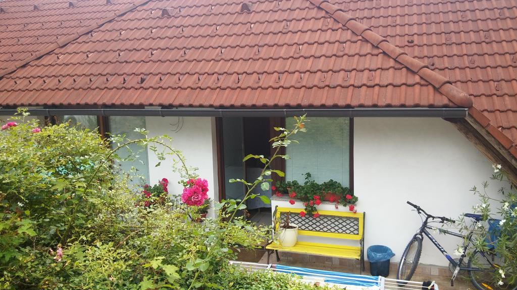 Darja Guesthouse Dob Dış mekan fotoğraf