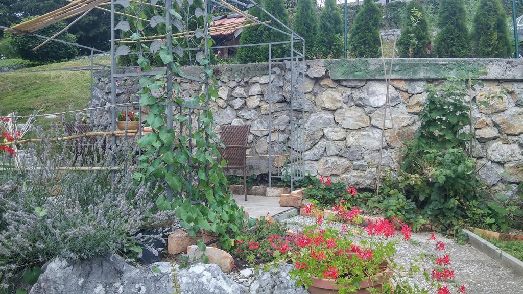 Darja Guesthouse Dob Dış mekan fotoğraf